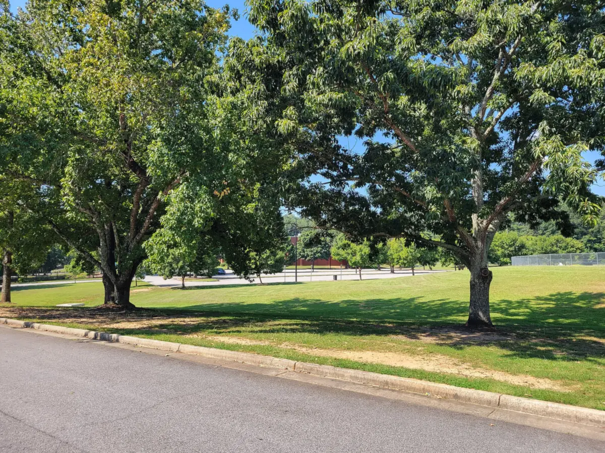 Fair Oaks Park, one of the two parks that serve the Powder Springs Street area
