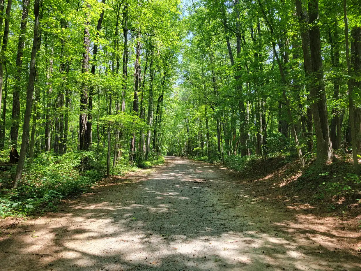 A trail through the woods at A.L. Burruss Nature Park, a city park on South Cobb Drive