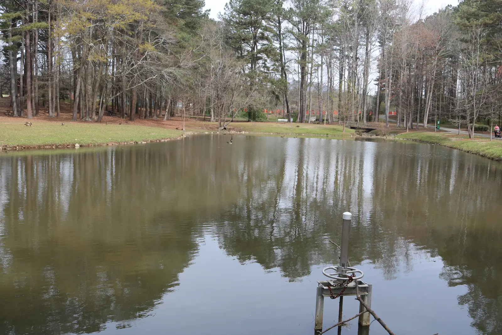 The pond at Laurel Park on Manning Road, in west Marietta