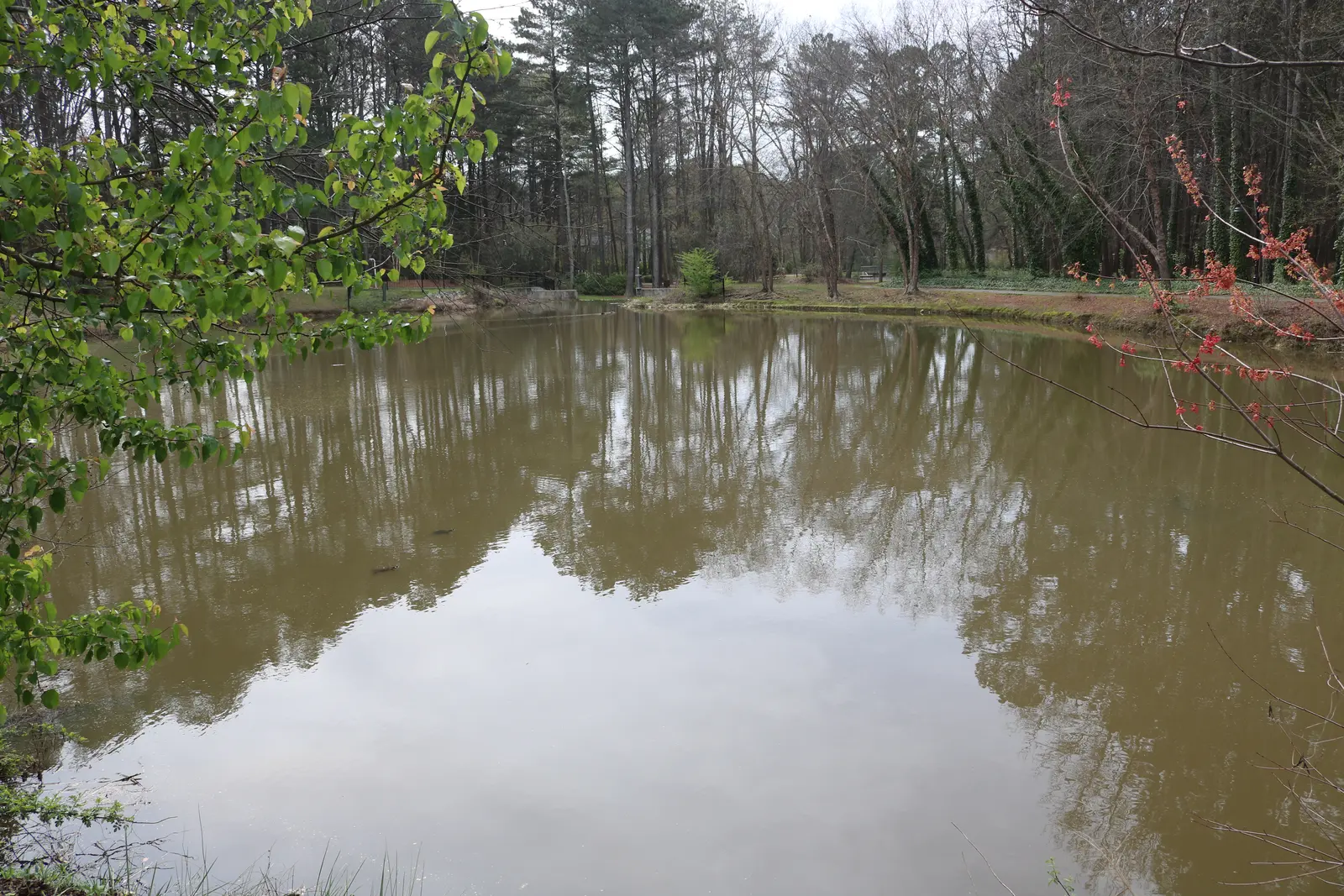 The upper pond at Laurel Park in west Marietta